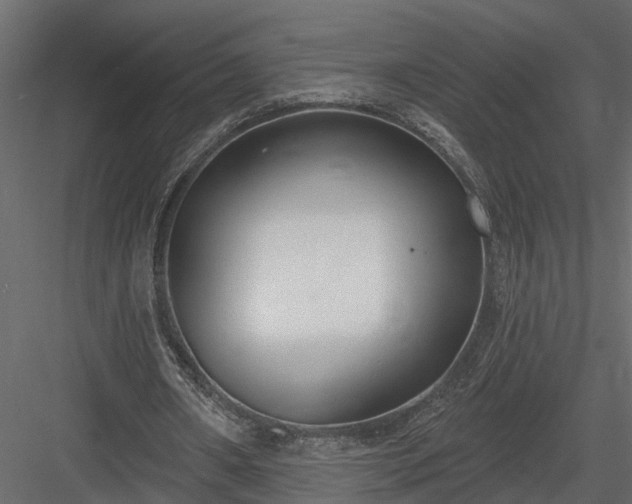 X0000083990482200702232115