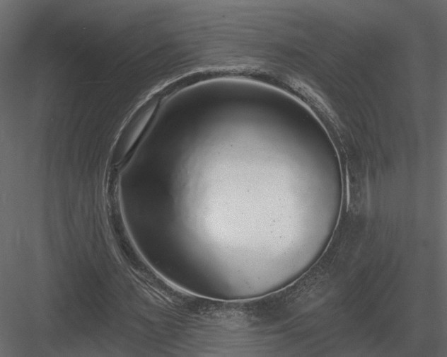 X0000083990483200702232115