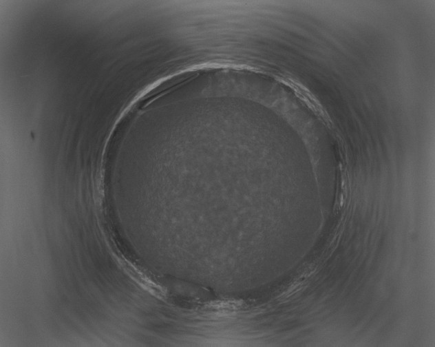 X0000083990484200702232115