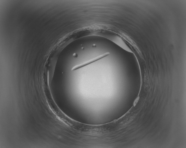 X0000083990485200702232115