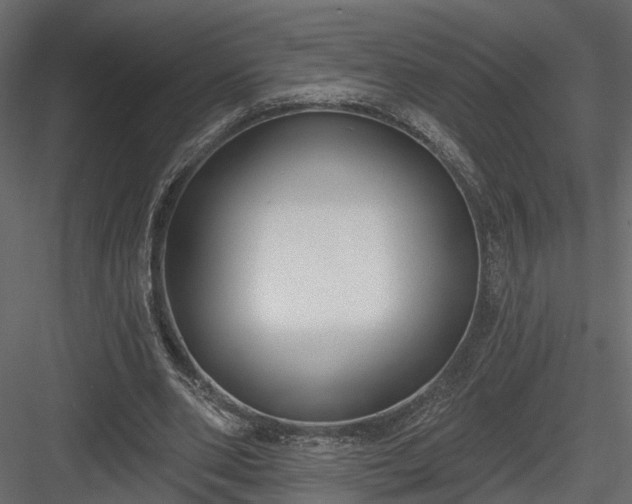 X0000083990486200702232115