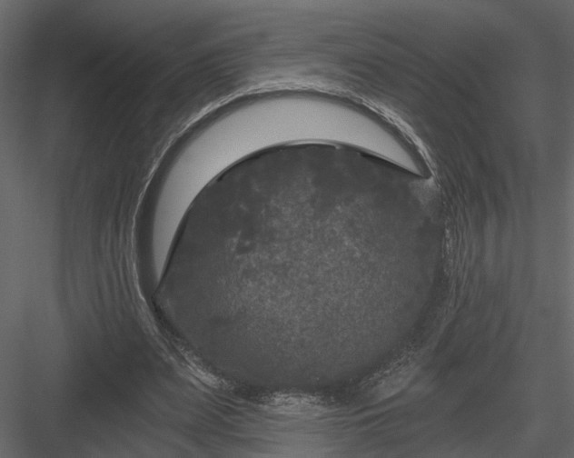 X0000083990487200702232115