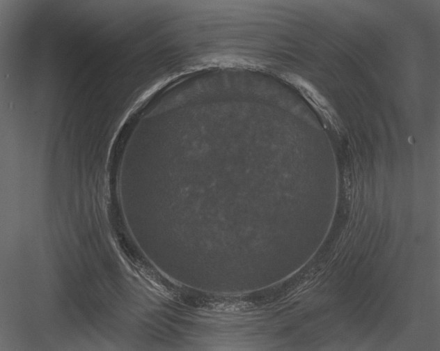 X0000083990488200702232115