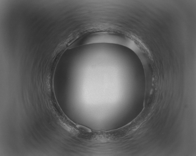 X0000083990489200702232115