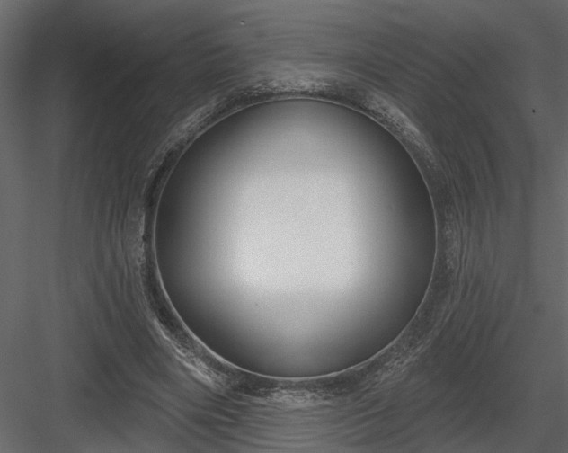 X0000083990490200702232115