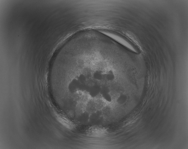 X0000083990491200702232115