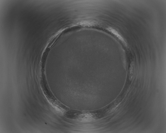 X0000083990492200702232115