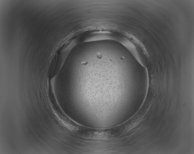 X0000083990493200702232115