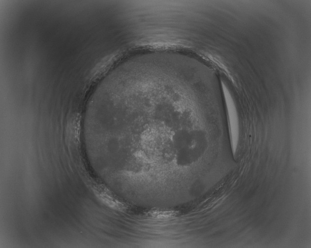 X0000083990495200702232115