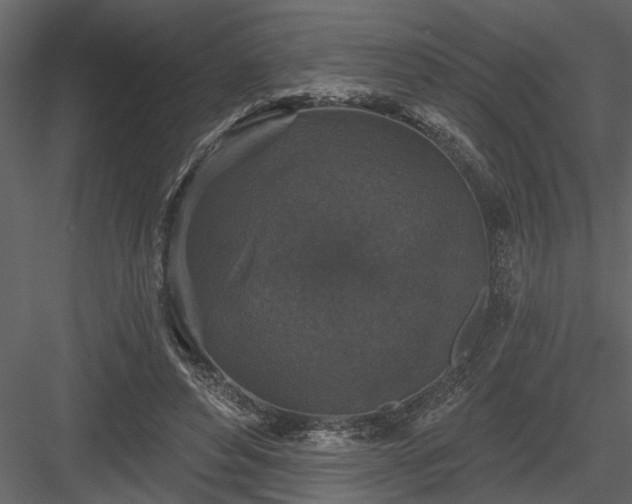 X0000083990496200702232115