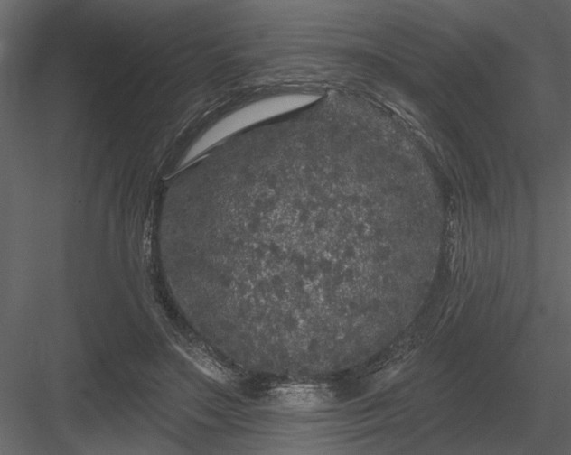 X0000083990499200702232115