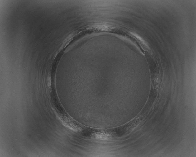 X0000083990500200702232115