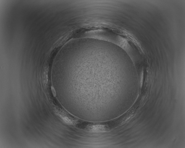 X0000083990501200702232115