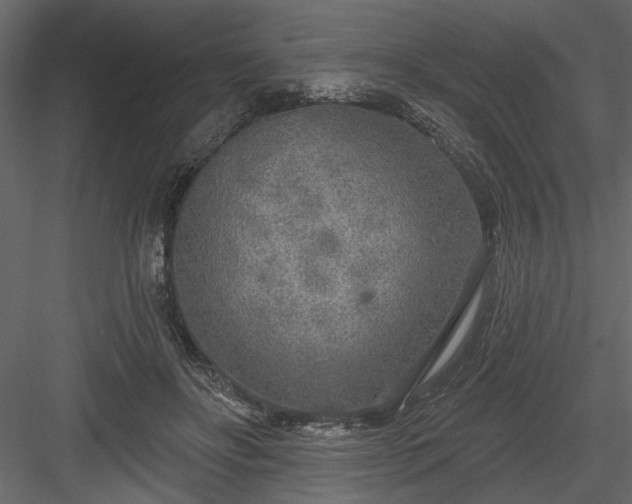 X0000083990502200702232115