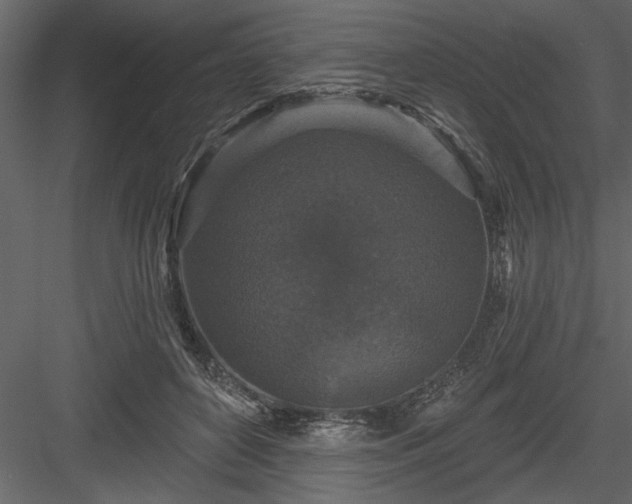 X0000083990504200702232115