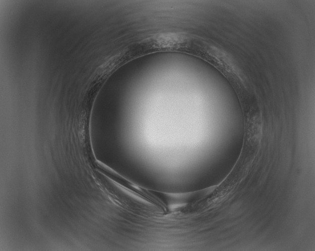 X0000083990505200702232115