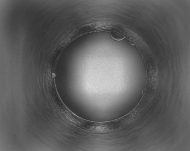 X0000083990506200702232115