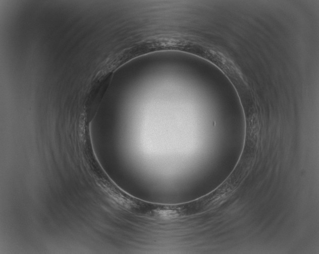 X0000083990509200702232115