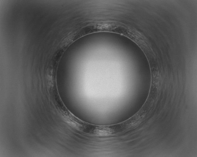 X0000083990510200702232115