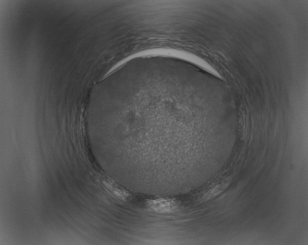 X0000083990511200702232114