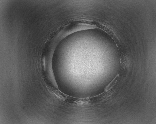 X0000083990512200702232114