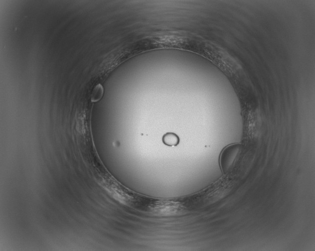 X0000083990514200702232114