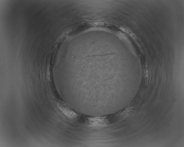 X0000083990516200702232114