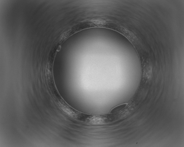 X0000083990518200702232114