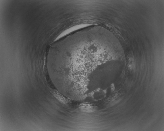 X0000083990519200702232114