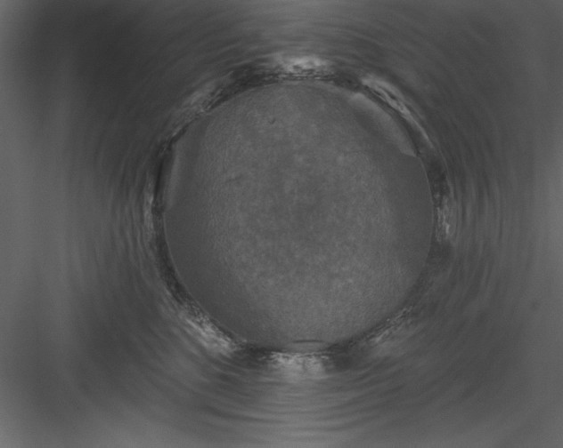 X0000083990520200702232114