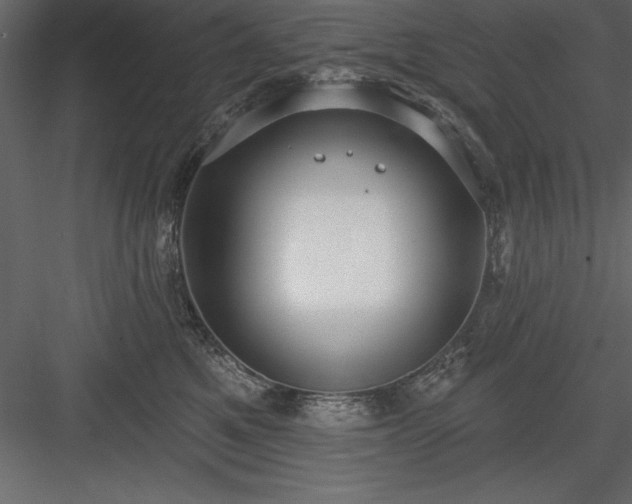 X0000083990521200702232114