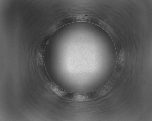 X0000083990522200702232114