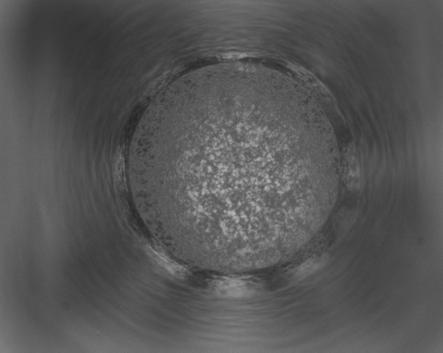 X0000083990523200702232114