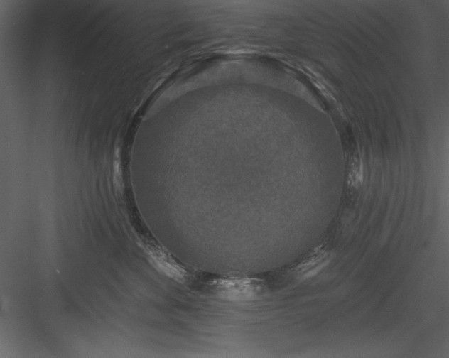 X0000083990524200702232114