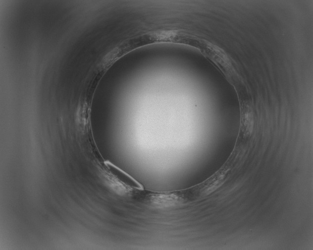 X0000083990525200702232114