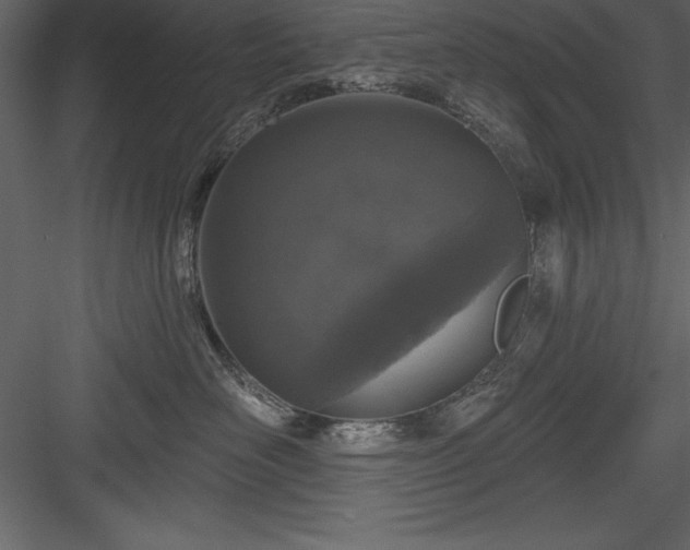 X0000083990526200702232114