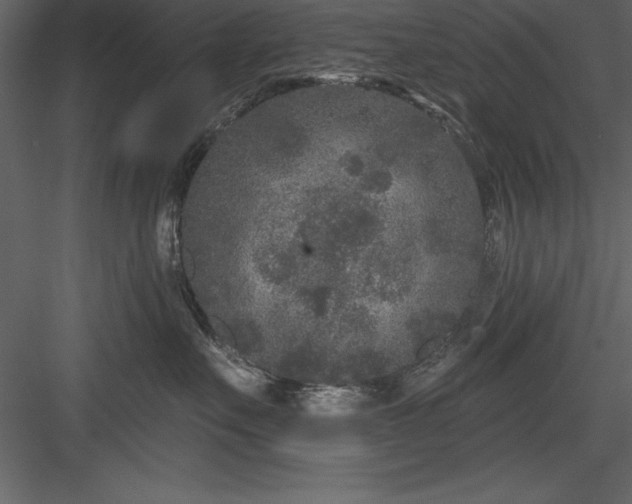 X0000083990527200702232114