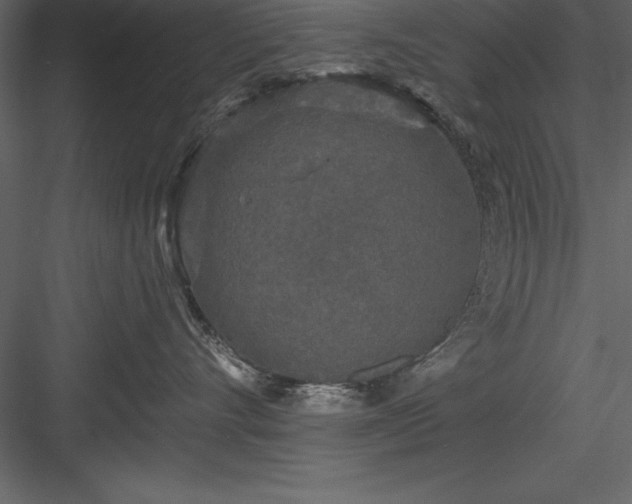 X0000083990528200702232114