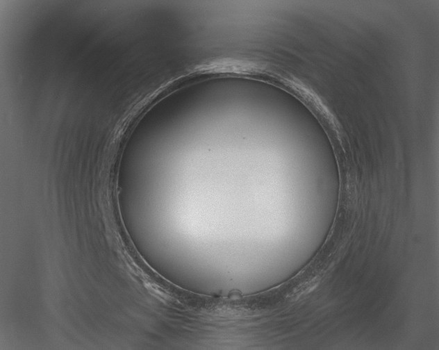 X0000083990529200702232113