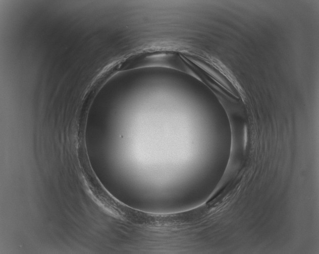 X0000083990530200702232113