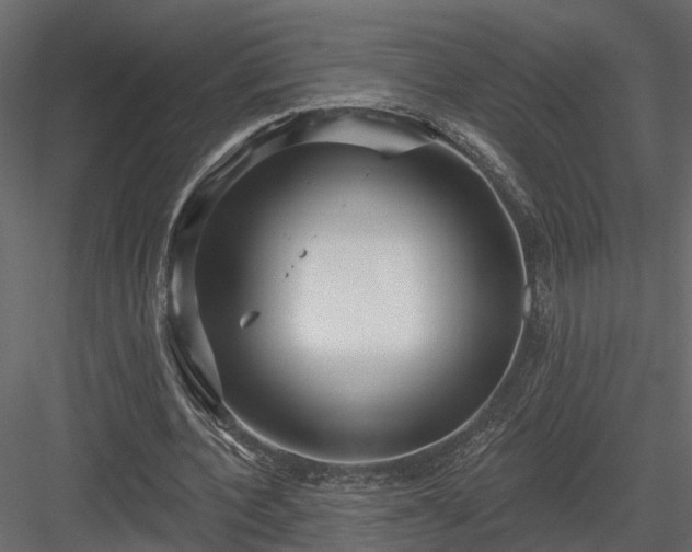 X0000083990532200702232113