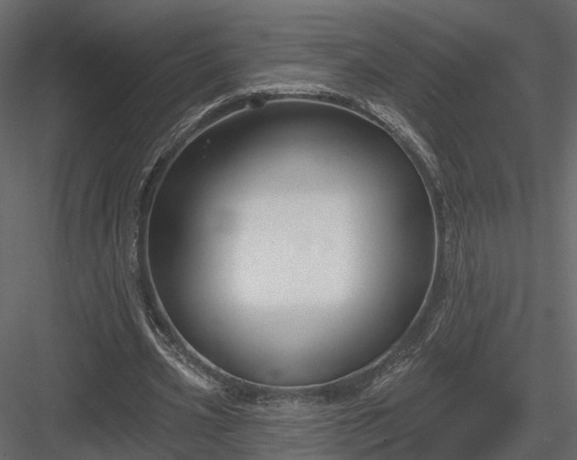 X0000083990533200702232113