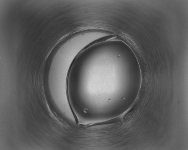 X0000083990534200702232113