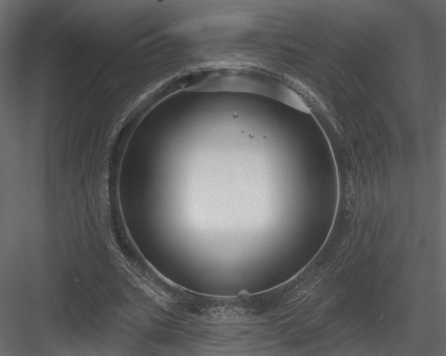 X0000083990535200702232113