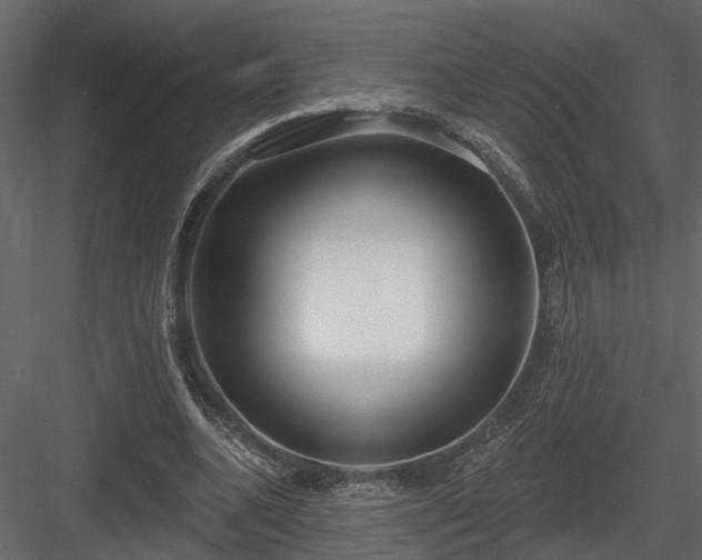 X0000083990536200702232114