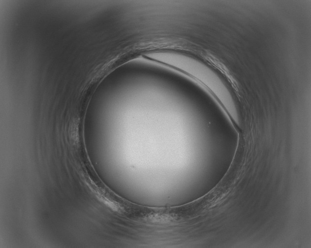 X0000083990537200702232114