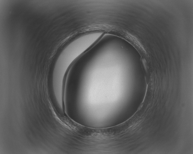 X0000083990538200702232114