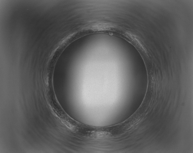 X0000083990539200702232114