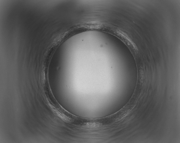 X0000083990541200702232114