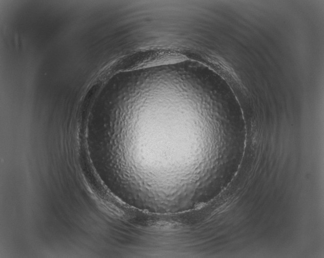 X0000083990542200702232114